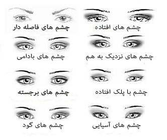 انواع شکل چشم