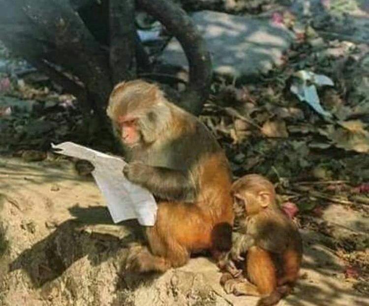 عکس خنده دار برای پروفایل