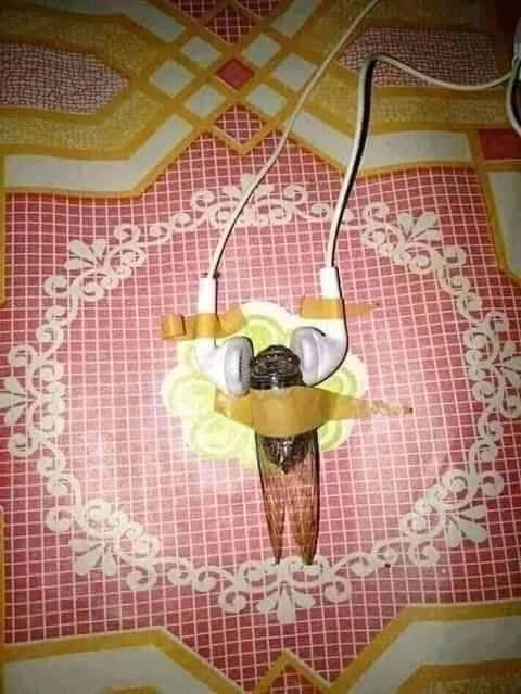 عکس خنده دار برای پروفایل