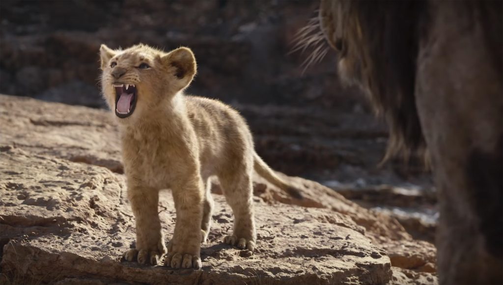 فیلم شیر شاه - The Lion King