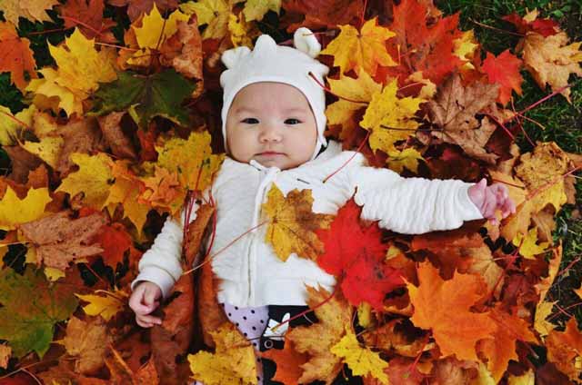 عکس بچه پاییز
