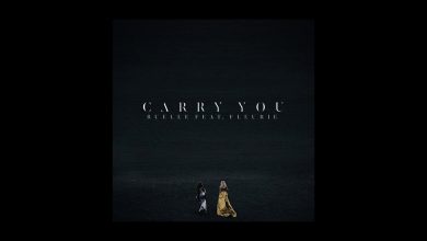 متن و ترجمه آهنگ Carry You از Ruelle و Fleurie