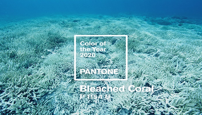 رنگ سال ۲۰۲۰ چیست ؟ سوپرایز شرکت پنتون ! + علت و نحوه انتخاب