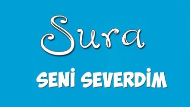 متن و ترجمه آهنگ Seni Severdim از Sura İskenderli