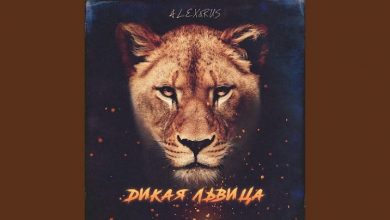 متن و ترجمه آهنگ Дикая львица از Alex و Rus