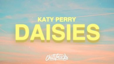 متن و ترجمه آهنگ Daisies از Katy