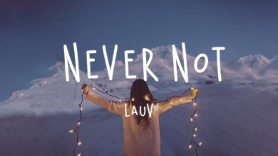 متن و ترجمه آهنگ Never Not از Lauv