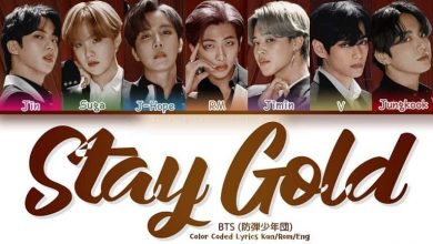 متن و ترجمه آهنگ Stay Gold از BTS ، گروه بی تی اس