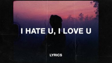 متن و ترجمه آهنگ I Hate You I Love You از Gnash و Olivia O'Brien
