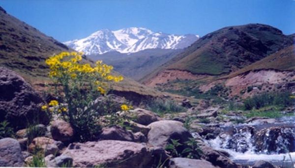 چشمه باش بولاغی در روستای وارث آباد