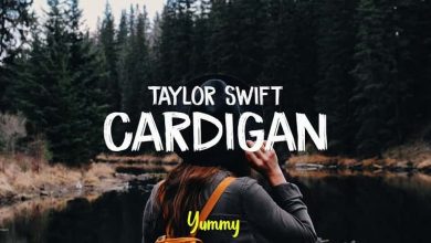 متن و ترجمه آهنگ Cardigan از Taylor Swift