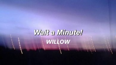 متن و ترجمه آهنگ Wait a Minute از WILLOW