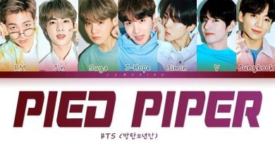 متن و ترجمه آهنگ Pied Piper از BTS