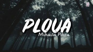متن و ترجمه آهنگ Ploua از Mihaita Piticu
