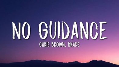 متن و ترجمه آهنگ No Guidance از Chris Brown و Drake