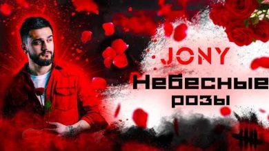متن و ترجمه آهنگ Небесные розы از JONY