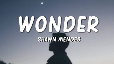 متن و ترجمه آهنگ Wonder از Shawn Mendes