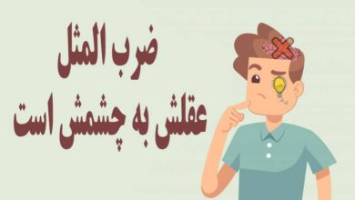 عقلش به چشمش است