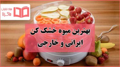 بهترین میوه خشک کن های خانگی