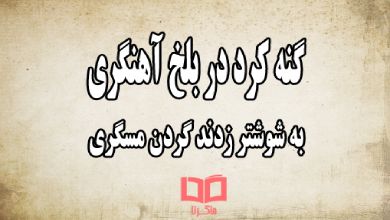 ضرب المثل گنه کرد در بلخ آهنگری