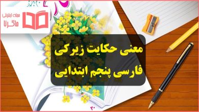 معنی حکایت زیرکی به زبان و نثر ساده برای کلاس پنجم + جواب سوال صفحه ۴۶