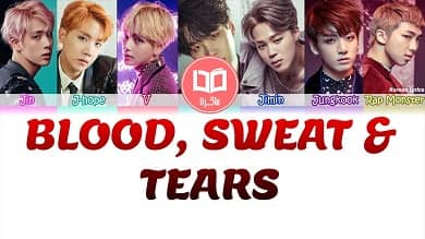 متن و ترجمه آهنگ Blood Sweat And Tears از BTS