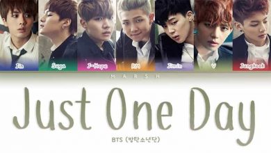 متن و ترجمه آهنگ Just One Day از BTS