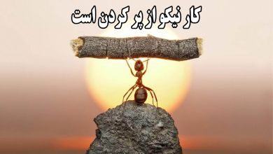 ضرب المثل کار نیکو از پرکردن است