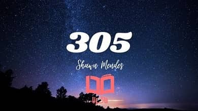 متن و ترجمه آهنگ 305 از Shawn Mendes