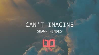 متن و ترجمه آهنگ Can't Imagine از Shawn Mendes