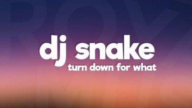 متن و ترجمه آهنگ Turn Down For What از DJ Snake و Lil Jon