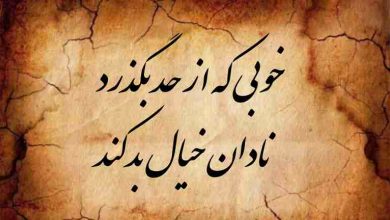 ضرب المثل خوبی که از حد بگذرد نادان خیال بد کند