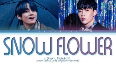 متن و ترجمه آهنگ Snow Flower از تهیونگ V گروه BTS - بی تی اس