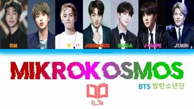 متن و ترجمه آهنگ Mikrokosmos از بی تی اس ، BTS