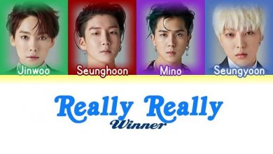 متن و ترجمه آهنگ Really Really از WINNER