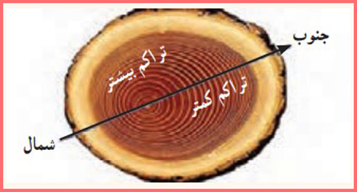 جواب فعالیت ۴ صفحه ۸۵ درس هشتم آمادگی دفاعی نهم