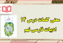 معنی کلمات درس ۱۴ پیدای پنهان فارسی نهم