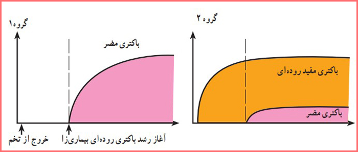 جواب فعالیت صفحه ۱۷۱ فصل پانزدهم علوم نهم