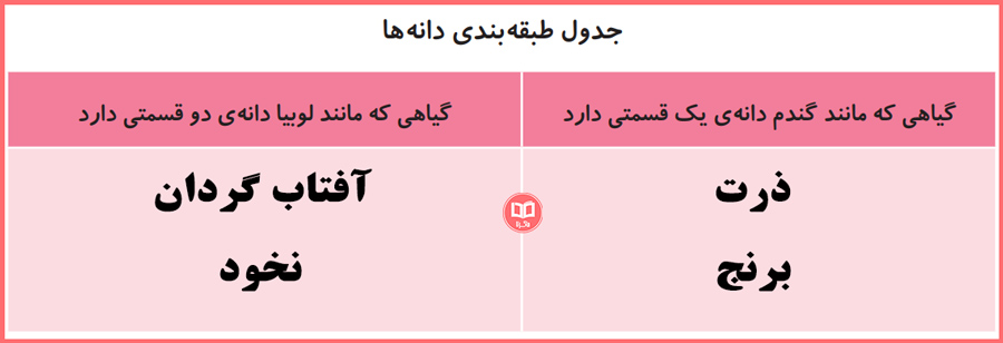 پاسخ جدول فعالیت صفحه 100 علوم سوم ابتدایی