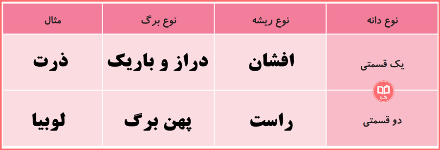 حل جدول صفحه 101 کتاب علوم تجربی سوم دبستان