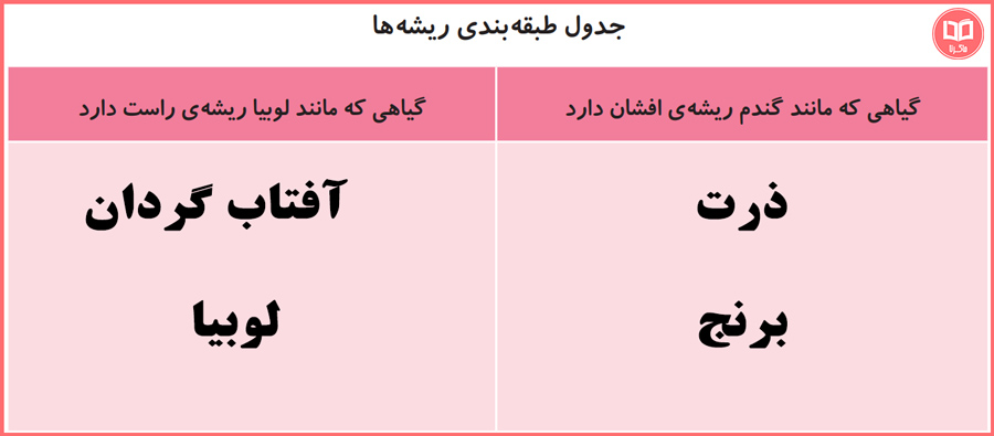 جواب جدول صفحه 96 علوم سوم دبستان