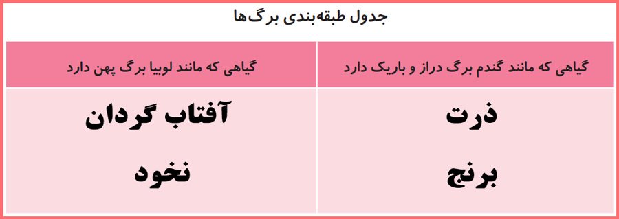 پاسخ جدول صفحه 98 علوم سوم ابتدایی