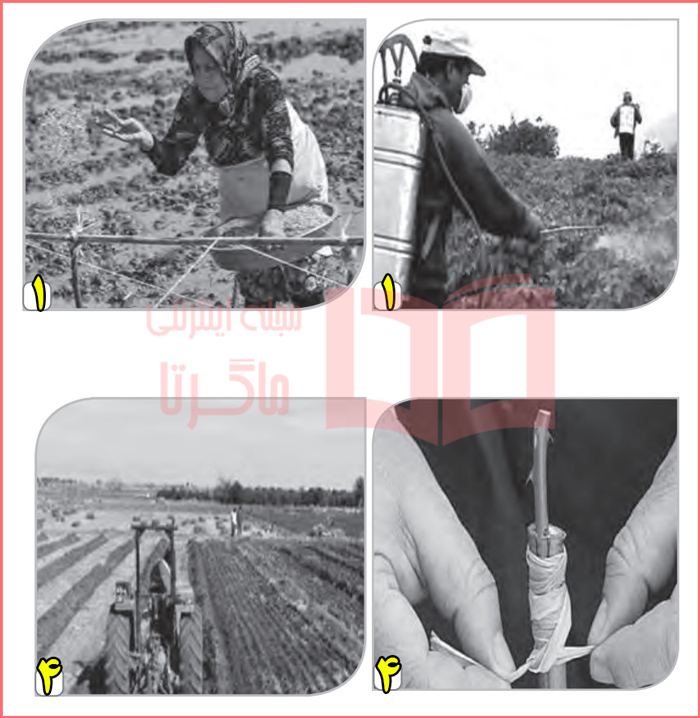 حل تمرین صفحه ۳۴ و ۳۵ درس ششم کتاب کار زبان انگلیسی هشتم