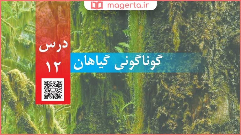 گام به گام درس ۱۲ دهم علوم چهارم