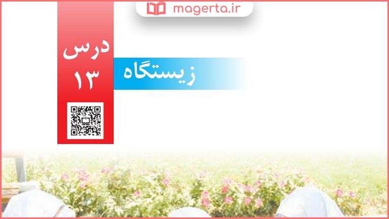 گام به گام درس ۱۳ دهم علوم چهارم