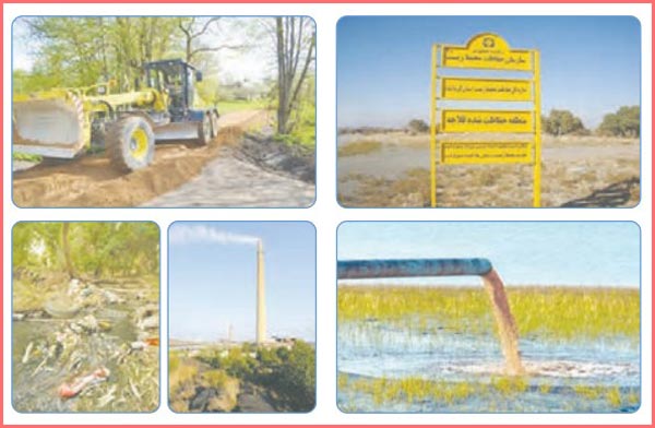 شکل گفت و گو صفحه ۱۱۸ علوم چهارم