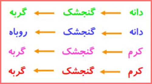 جواب فعالیت صفحه ۱۱۵ کتاب علوم چهارم