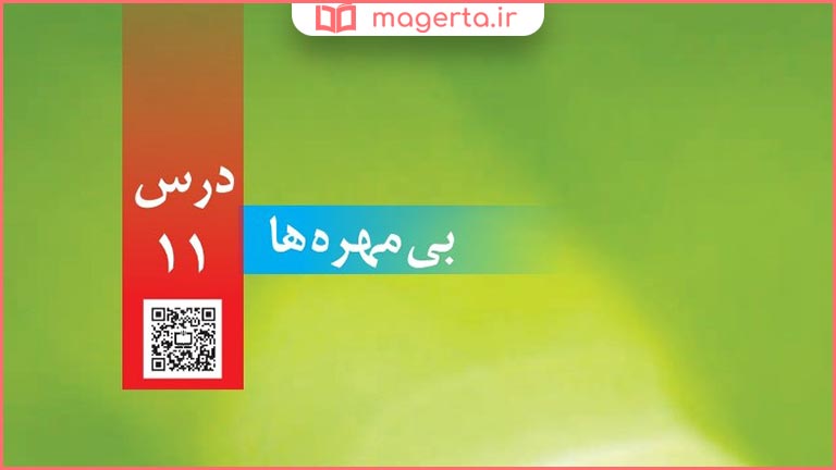 گام به گام درس ۱۱ دهم علوم چهارم