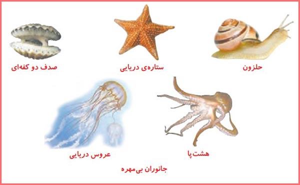 تصویر صفحه ۱۰۱ علوم پایه چهارم