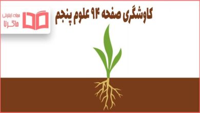 جواب کاوشگری صفحه ۹۴ علوم پنجم